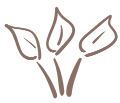 Blätterkrone
